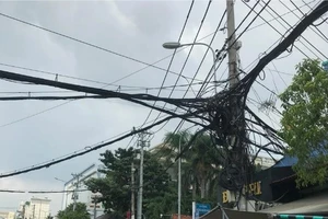 Đề xuất cắt điện, nước; tạm ngừng xuất cảnh để cưỡng chế thi hành quyết định xử phạt hành chính