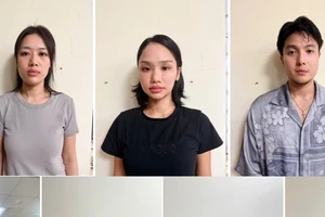 Không tố giác tội phạm, khi nào thì bị xử lý hình sự? 