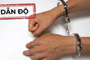 Nhiều nước cùng yêu cầu dẫn độ một người, xử lý ra sao?