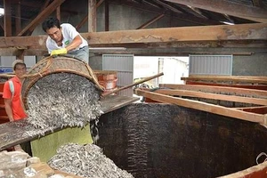 Một cơ sở sản xuất nước mắm truyền thống. Ảnh: VŨ ĐÌNH