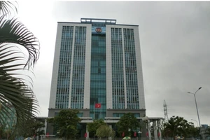 Hải quan Hải Phòng xử lý mỗi tháng hơn 600 vụ vi phạm pháp luật