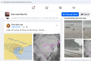 Xuất hiện thông tin thất thiệt về bão số 3