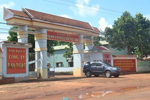 Lãnh đạo Binh đoàn 15 và Công ty Bình Dương vi phạm kỷ luật đảng đến mức phải thi hành kỷ luật. Ảnh: baogialai.com.vn