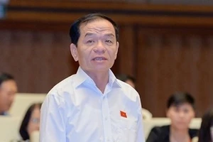 ĐBQH Lê Thanh Vân phát biểu ở diễn đàn Quốc hội. Ảnh: QH