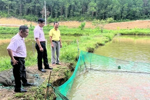 Cán bộ Chi nhánh NHCSXH Đà Nẵng thăm một hộ vay vốn kinh doanh trên địa bàn. Ảnh: MT.
