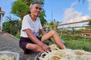 Ông cụ ngồi thái thân chuối bên cạnh con mương nước đen ngòm, bốc mùi hôi thối từ trại heo. Ảnh: MINH TRƯỜNG.