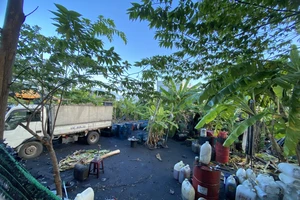 Bãi tập kết dầu nhớt trái phép bị cơ quan chức năng phát hiện: Ảnh: MINH TRƯỜNG.