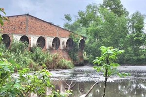 Hồ chứa nước thải của trại heo bốc mùi hôi thối ảnh hưởng đến người dân. Ảnh: MINH TRƯỜNG.