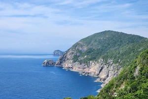 Nhiều tỉnh chưa quan tâm đúng mức các Khu Bảo tồn Biển, Vườn Quốc gia