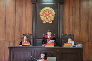 Kỳ án gỗ trắc ở Quảng Trị: Bác toàn bộ yêu cầu khởi kiện liên quan đến Tổng cục trưởng Tổng cục Hải quan