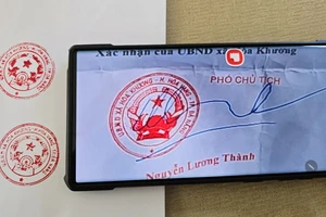 Đà Nẵng: Nghi dùng con dấu giả xin giấy phép phòng cháy chữa cháy