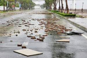 Bão Trà Mi gây sóng mạnh đánh bật gạch trên vỉa hè, thân cây to bị xé gãy