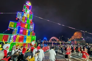 Cây thông ánh sáng lung linh bên bờ sông Hàn