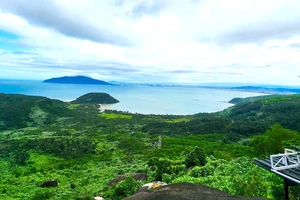 Công an xác minh vụ xô xát vì tiền gửi xe uống cà phê trên đèo Hải Vân 