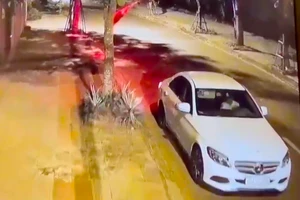 Chủ nhà lên tiếng vụ người đi xe Mercedes bị tố ăn trộm quả mít lúc đêm khuya