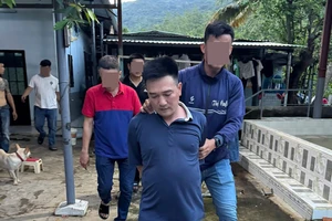 Xoá tụ điểm đá gà liên tỉnh ở Đà Nẵng