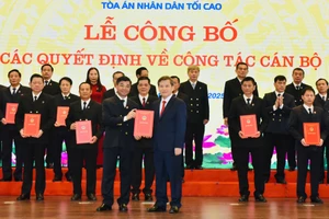 Ông Nguyễn Chí Công giữ chức Chánh án TAND TP Đà Nẵng mới