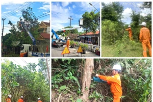 Tổng công ty Điện lực miền Trung khẩn trương ứng phó khẩn cấp bão số 5