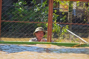 Hơn 2.500 hộ dân xã Đức Minh ở Hà Tĩnh đang bị lũ cô lập