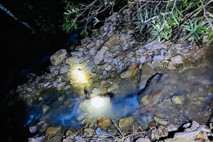 Người dân phát hoảng khi mở cửa, thấy con trăn lớn 'ghé thăm' nhà mình