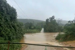 Quảng Trị ngập lụt nhiều nơi sau cơn mưa lớn