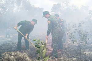 Thấy cháy rừng, người dân cùng bộ đội, công an...lao vào dập lửa