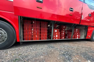 Gần 1 tấn rắn hổ mang được chở trên xe khách