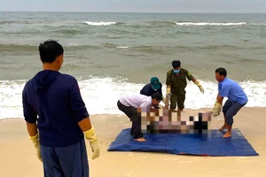 Ngư dân Quảng Trị tìm thấy thi thể khách du lịch mất tích ở biển Nhật Lệ