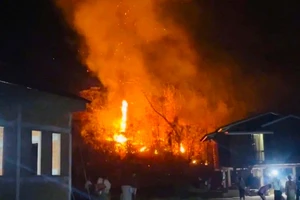 Công an Việt Nam nhanh chóng hỗ trợ chữa cháy rừng tại nước bạn Lào