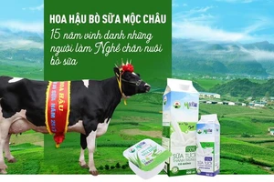  Vì sao 'hoa hậu bò sữa Mộc Châu' từ chối Vinamilk ? 