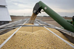 Việt Nam sẽ mua 100.000 con bò, 3 triệu tấn lúa mì... của Mỹ