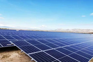 Người Thái lại bỏ nửa tỉ USD mua doanh nghiệp Việt