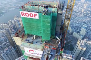 Lãnh đạo Coteccons:'Danh dự của chúng tôi bị xúc phạm nặng nề'