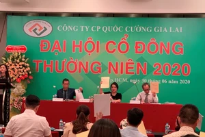 Chủ tịch Quốc Cường Gia Lai: 'Chúng tôi như bị bỏ rơi'