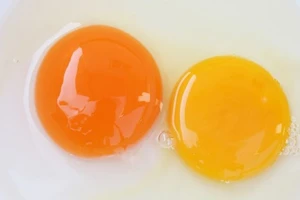 Lòng đỏ trứng màu đậm và nhạt, ăn cái nào tốt hơn? 
