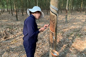 Một tập đoàn kinh doanh 'vàng trắng' lãi cả ngàn tỉ