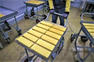 Giá vàng tăng vọt lên 50,2 triệu đồng/lượng