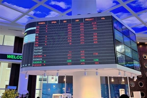 'Bệnh' cũ sàn chứng khoán TP.HCM tái phát, nhà đầu tư méo mặt