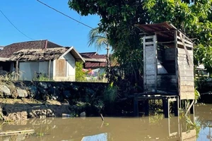 Đi 'cầu tõm' ở Indonesia