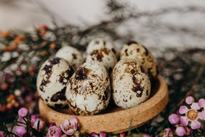 Ăn trứng cút mỗi ngày, chuyện gì xảy ra?