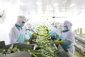 Bán nha đam mạnh, một công ty nâng lãi gấp đôi