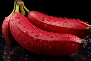 Ăn chuối đỏ mỗi ngày, chuyện gì xảy ra?