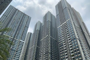 Các đại gia đang lạc quan với thị trường bất động sản ra sao?