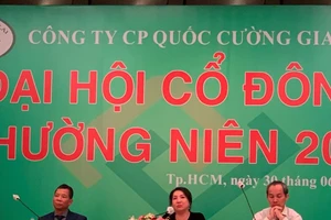 Điều gì đang xảy ra với cổ phiếu Quốc Cường Gia Lai?