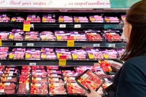 Đại gia Việt sẽ xây dựng nhà cao tầng để nuôi heo?