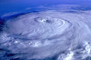 Chi phí bồi thường tăng vì bão Yagi, một công ty bảo hiểm báo lỗ