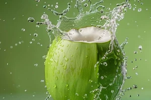 Chuyện gì xảy ra khi uống trà xanh và nước dừa thường xuyên?