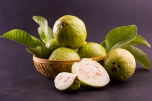 Vì sao quả ổi tại Việt Nam được đánh giá bảo vệ tim mạch tốt?