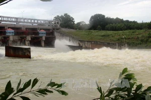 Hồ Dầu Tiếng xả lũ ít ảnh hưởng đến TP.HCM