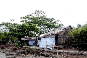 Cà Mau: Bờ biển Tây sạt lở rất nghiêm trọng